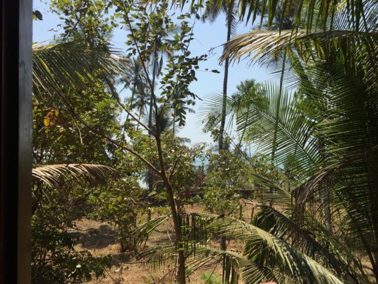 Sunshine Service Villa Kannur ภายนอก รูปภาพ